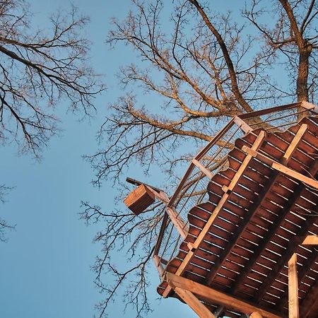 Treehouse Kremilek Villa Jesenice  Exteriör bild